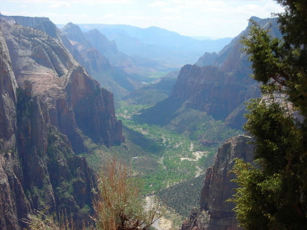Zion Canyon seen from Observation Point