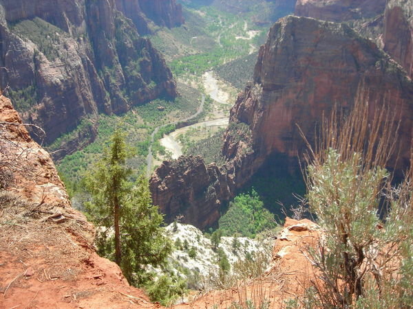 Looking down on Angel's Landing, The Organ, and The Virgin River