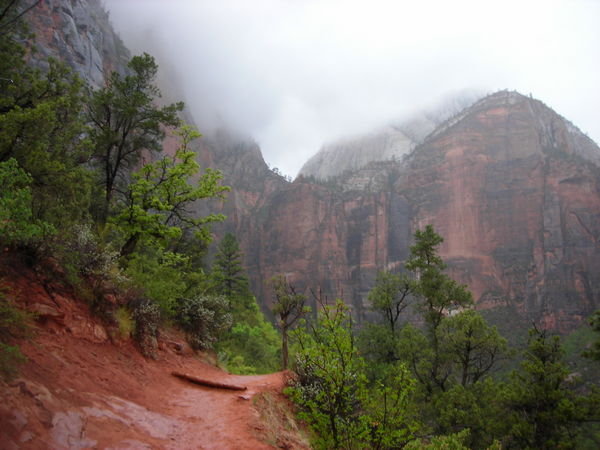 Along the Emerald Pools Trail