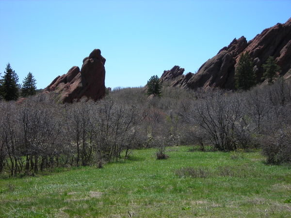 Oak thickets and rock formations