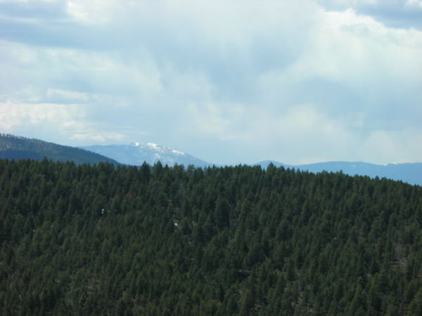 Looking west into the Pike National Forest