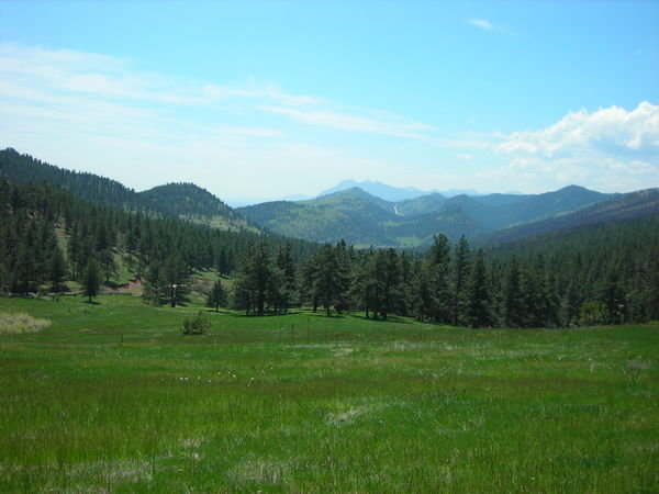 Magnificent view to the south along the Wapiti Trail