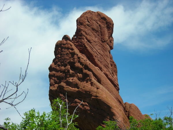 A closer view of Red Rock towering over the Gambel oack