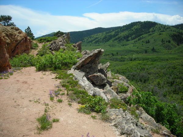 Where the Swallowtail Trail crosses the hogback