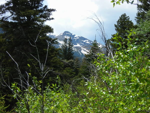 The view from near the trailhead