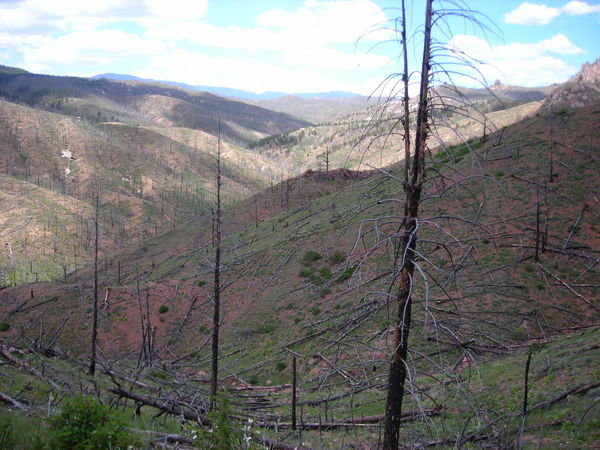 A broad view of the burn area