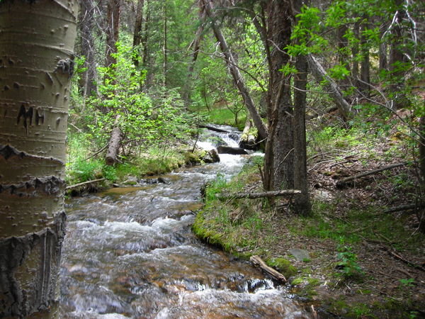 The first crossing of Three Mile Creek