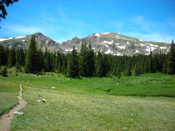 Gore Range mountains seen from one of the meadows