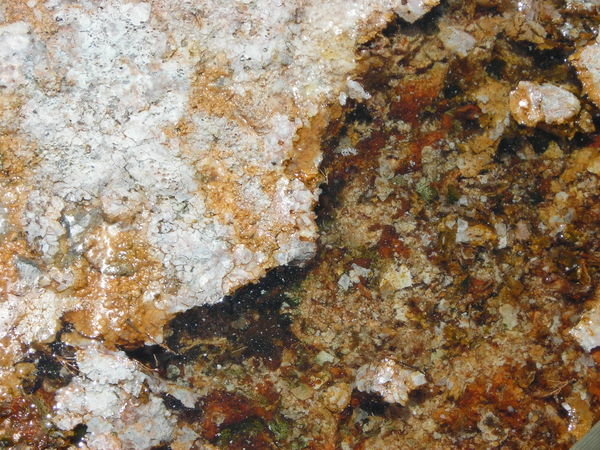 A closer look at the mineral and biological layers surrounding Canary Spring