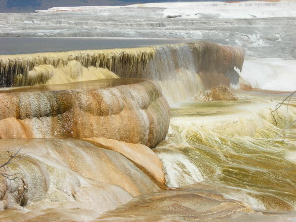 Cascading water down the travertine terraces from Canary Spring