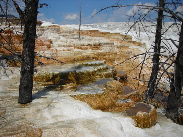 Another view of the colorful travertine terraces