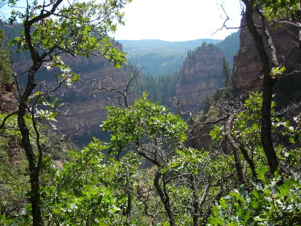 Glenwood Canyon from the trail