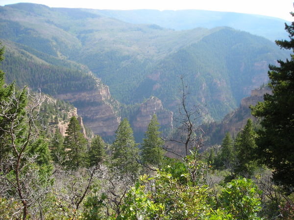 Looking south over the canyon rim