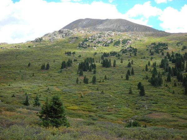 Twining Mountain from near the trailhead