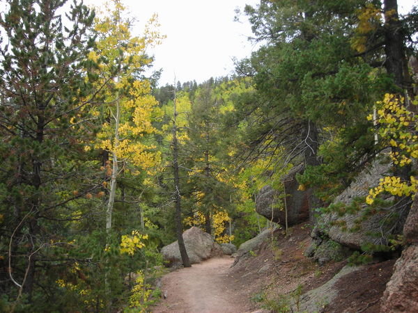 Golden aspens line the trail up to the lookout tower