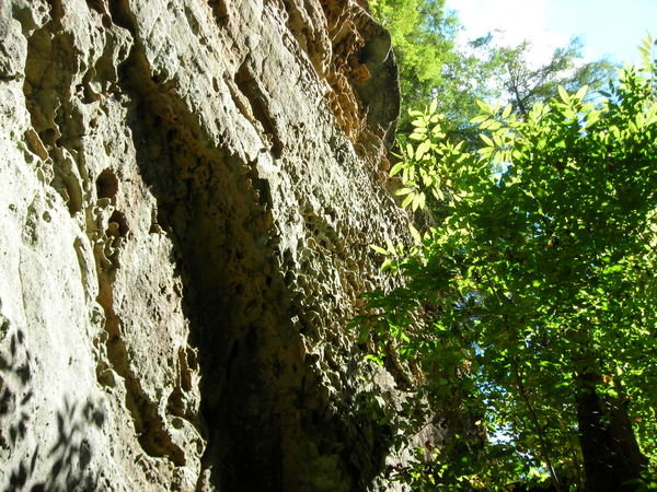 Unusual erosion patterns in the gorge walls