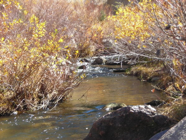Cherry Creek in the northern branch of the canyon