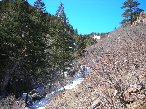 Looking up the snowy slopes of the Plymouth Creek Trail