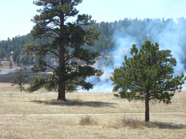The controlled burn area