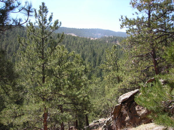 The Rawhide Trail climbs several hills along its route to the northeast