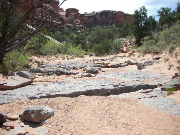 The dry wash at the bottom of Elephant Canyon