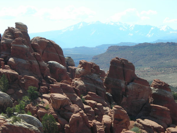 Fins of the Fiery Furnace with the La Sal Mountains in the background