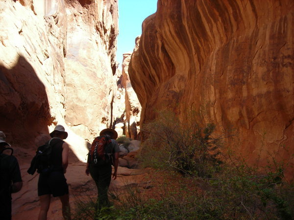 One of many shaded slot canyons along the route