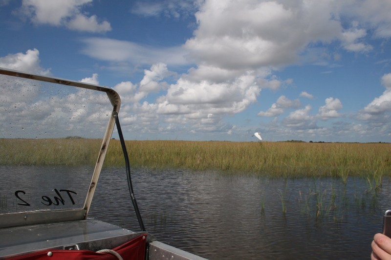 The Everglades from the airboat