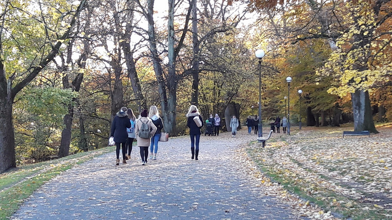 walking in park