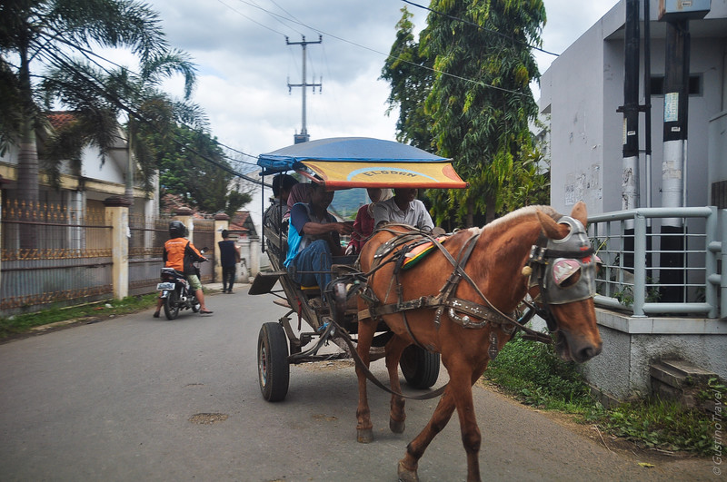 Menunggang Kuda di Bandung