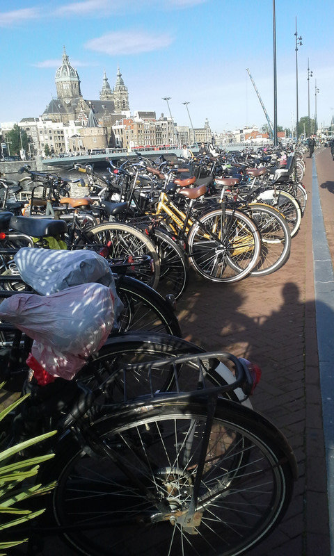 Sooo many bikes!