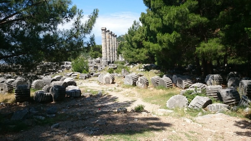 Priene Athena's temple