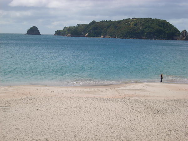 Hahei Beach
