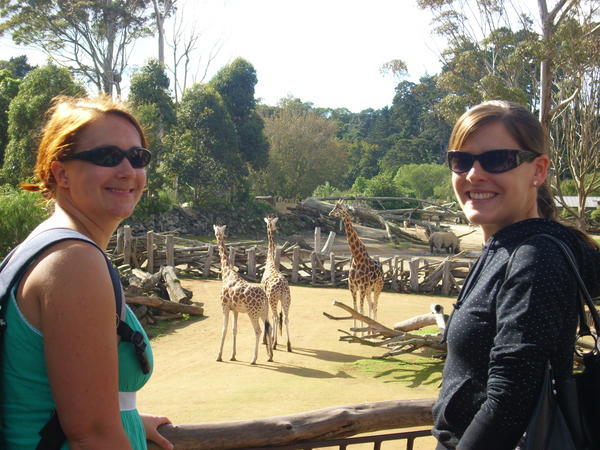 Mareike, Giraffen und Kathy