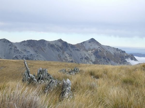 Mt  Buster & Mt Kyeburn