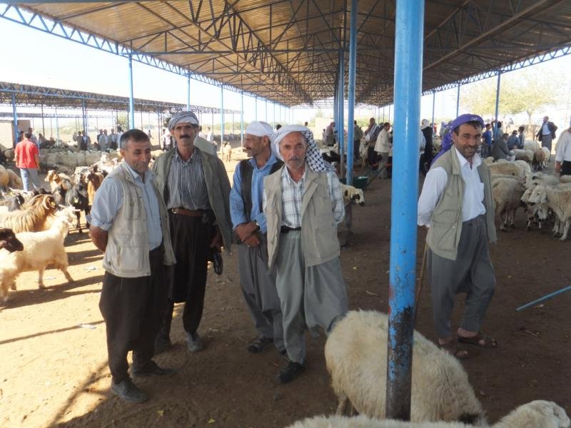 Siverek Livestock Market