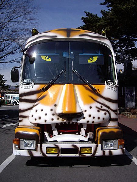 Tiger bus