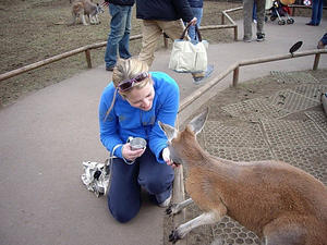 Amy feeding the kangaroo