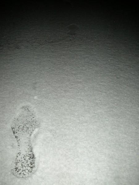 Amy's footprintl