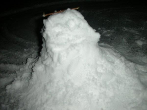 Amy's snowman, what talents