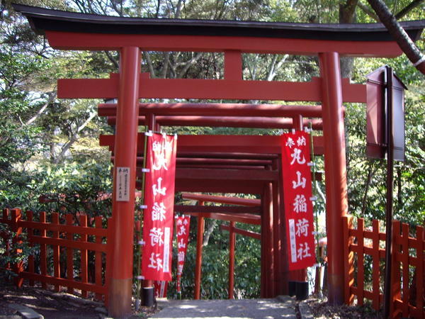 More Torii Gates I have never seen so many Torii Gates in one City