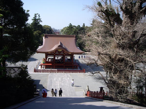 The Tsurugaoka Hachiman Shrine