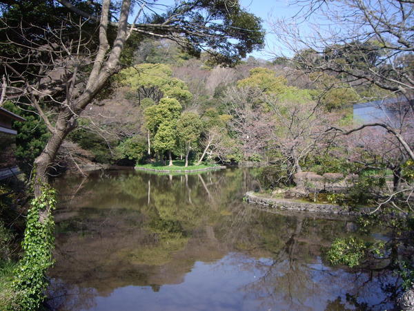There are beautiful gardens and ponds at the Tsurugaoka Hachiman Shrine