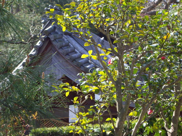 The lovely garden at Hencho-Ji Temple I love that you can see the temple bell behind the trees.