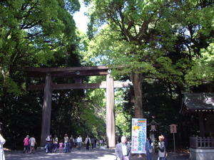 One of many wooden Torii gates into Meiji Shrine