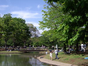 Yoyogi Park, it reminded me of Hyde Park in London everyone relaxing and having fun in the sun
