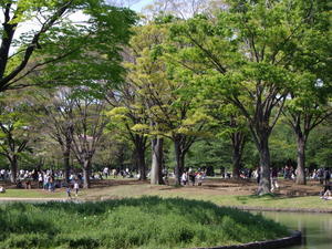 Yoyogi Park, it reminded me of Hyde Park in London everyone relaxing and having fun in the sun
