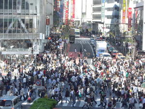 Shibuya jumble was great to just stand and watch the caos