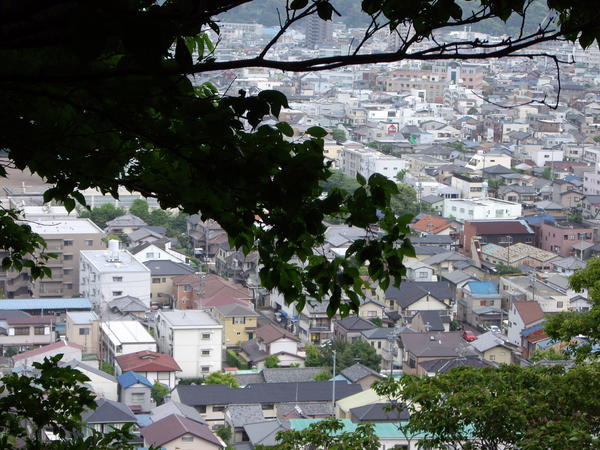Brilliant view of Shizuoka