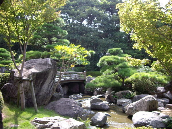 At the edge of the park was a stunning Japanese garden